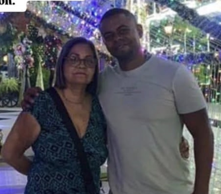 Delwis y delmira